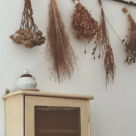 Casa Nel Borgo Appartamento Domaso