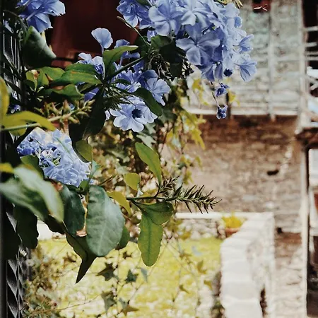 Casa Nel Borgo Apartment